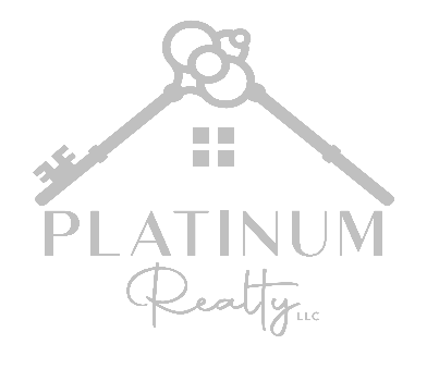 Platinum Realty Silver Logo